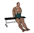 Dip - Straight Leg Bench